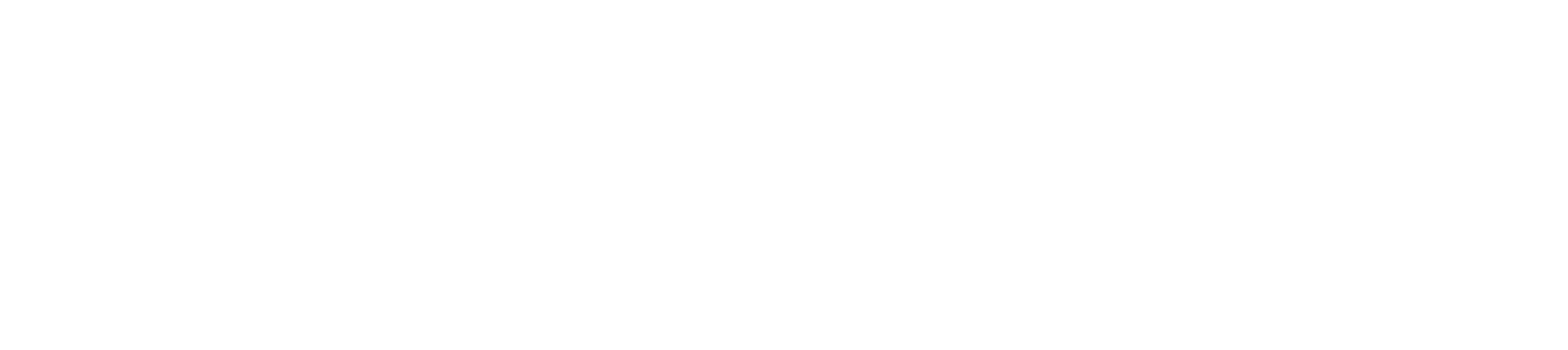 Logo Dushow
