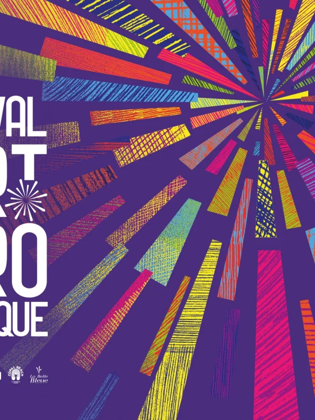 Festival Pyrotechnique Visual Header