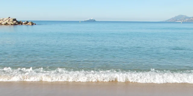 Beaches Cannes Palais Des Festivals Et Des Congres Cannes